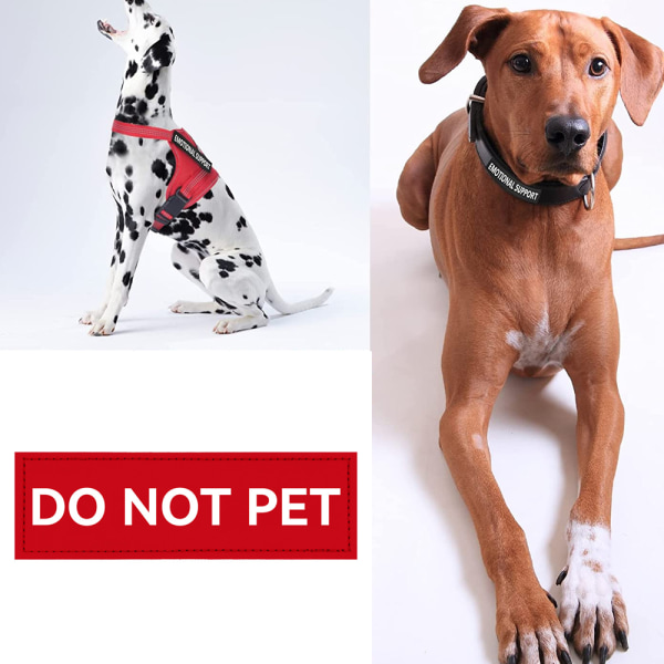 Aftagelig personlig kæledyr bryst ryg velcro hundeklæder Lille