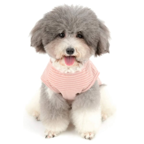 Husdjurskläder Husdjur vit björndesign väst Hund rosa och vit
