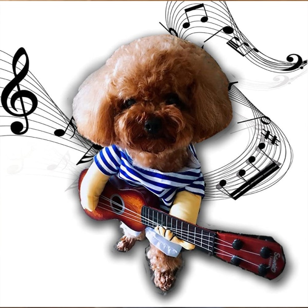 Sjovt Halloween kostume kæledyr hund guitar kostume