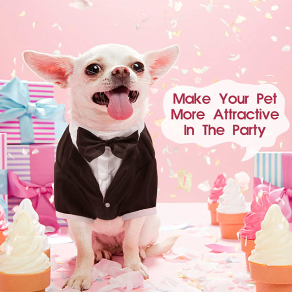 Hundetøj Pet Suit Pet Brudekjole Pet Sort Bryllupsjakke