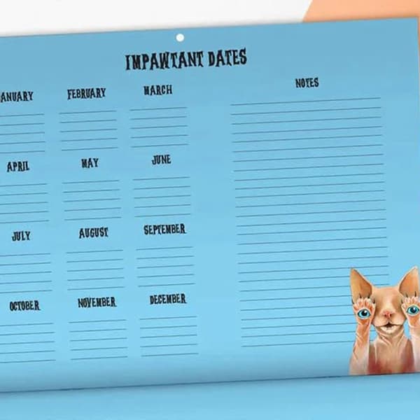 2024 Scaredy Cats Kalender, 12 Månaders Väggkalender A