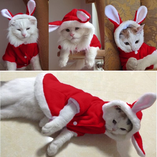 Pet Hoodie Cat Rabbit Outfit med Bunny Ears Söt tröja