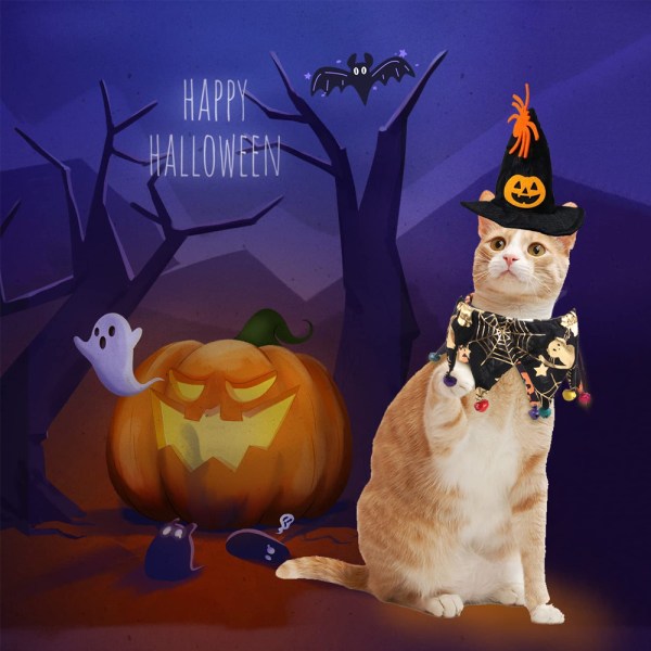 Kissan Halloween-asu - Halloween kissan kaulus kelloilla ja
