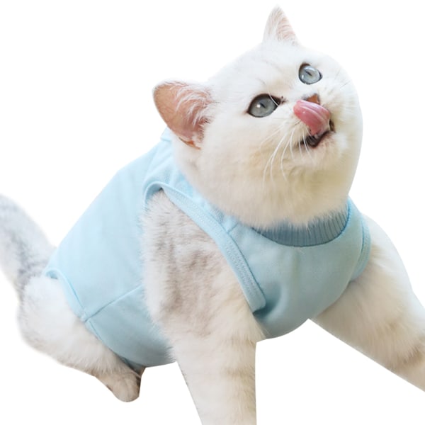 Kjæledyrkatt steriliserings- eller kastratdrakt Kattestjerneperson kirurgisk dress katt