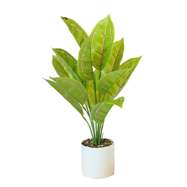 Kunstig banyan plante-hvit potteplante-perfekt innflytting