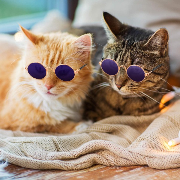 10 stk. Hunde Solbriller Runde Metal Kat Klassisk Retro