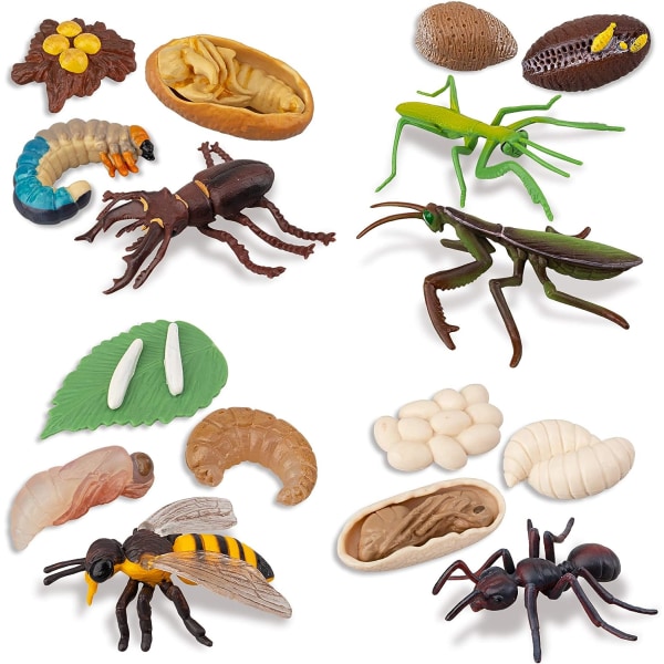 16 st insektsfigurer Livscykel av hjortbagge, honung