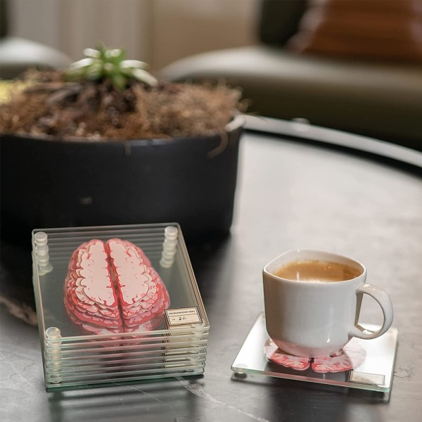 Anatomiske hjerneprøvebrikker-gaver til medisinstudent