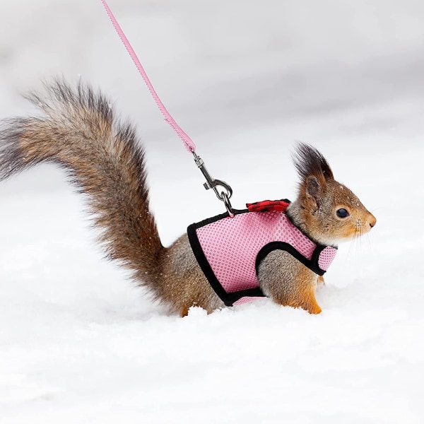 Marsun Guinea Pig Valjaat ja Hiha Pehmeä Mesh Pieni Lemmikkieläin Valjaat