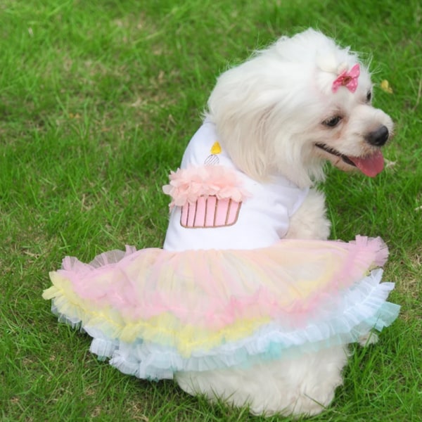 Pet kjol Pet färgglada tårt kjol Hund prinsessklänning Pet spring