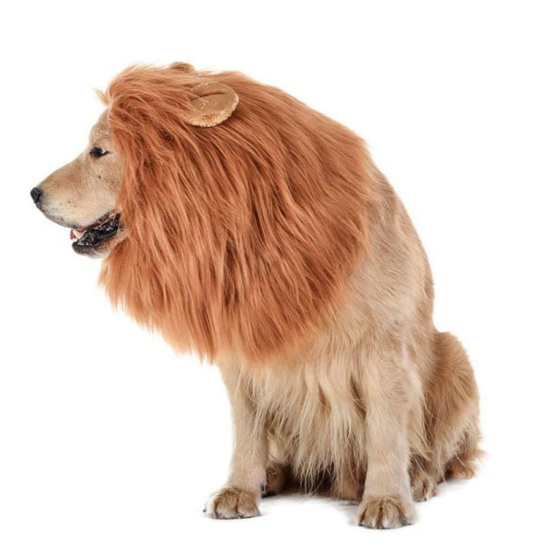 Hundeparyk løvemankehund naturtro løveparykhundløve