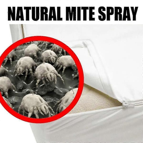 1-5x Middeldrepende Spray Sengelusfjerner Innendørs Desinfisering Og Miljøvern Sengelusdreper Kjæledyrrenser Allergier (2stk) A