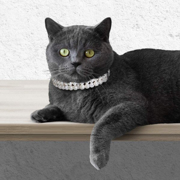 Halsband med pärlor och kristallrhinestone-dekoration för hund och katt,