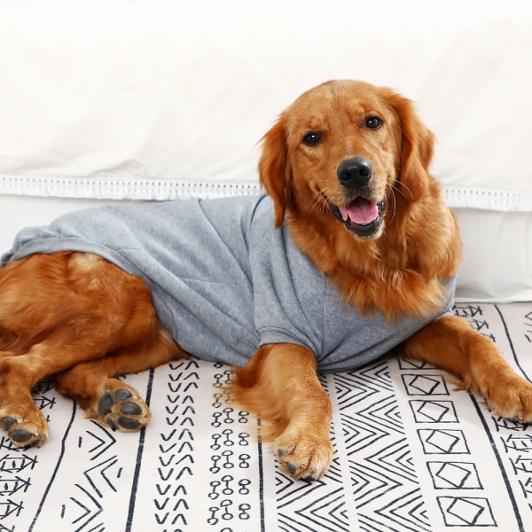 3st Höst och vinter varm hund enfärgad klädhundströja