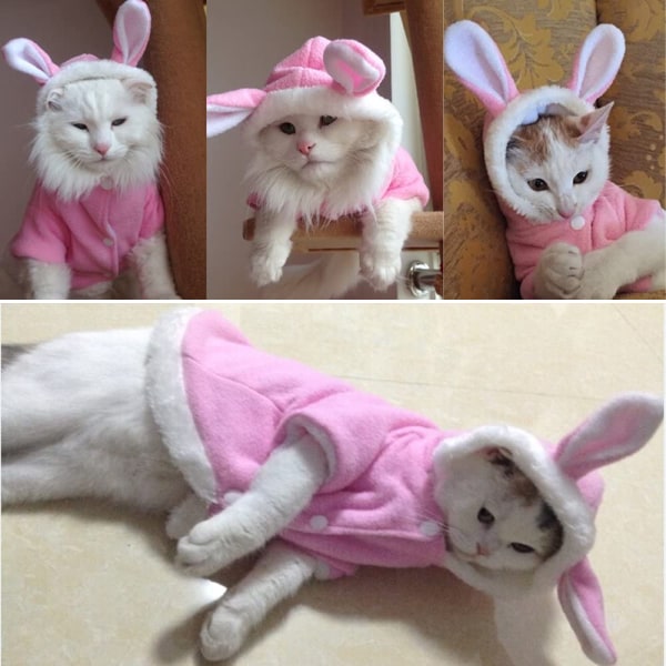Pet hættetrøje Kat kanin outfit med kaninører Sød sweatshirt