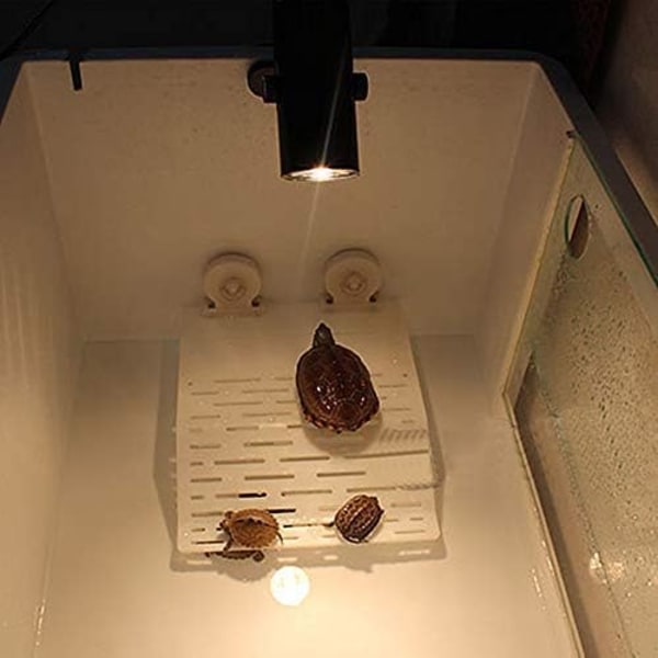 Wuhostam Reptile Clamp Heat Lamp Armature Holder, Velegnet til Aq