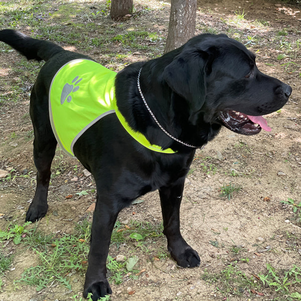 Reflekterende hundevest til jagt - Komfortabel hund