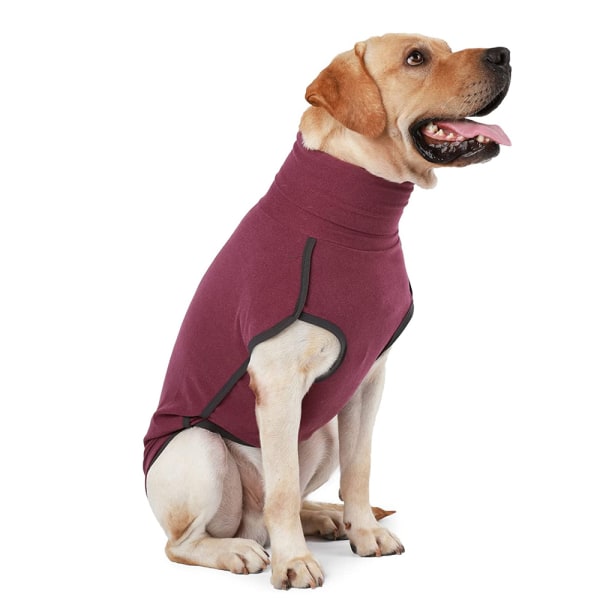 Hjem hund høy krage genser bomull polstret klær kjæledyr klær