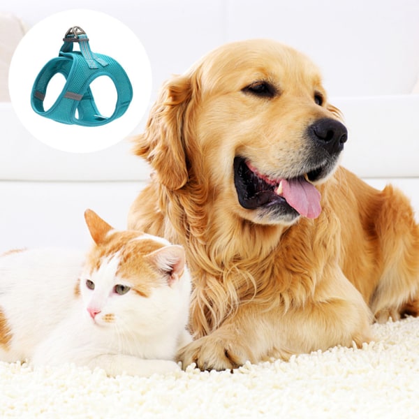 Nattvisjon reflekterende hundetrekk tau brysthjelp