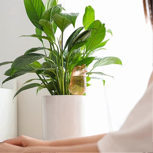 Automatisk plantevander Boligindretning Plantevander til stueplanter A