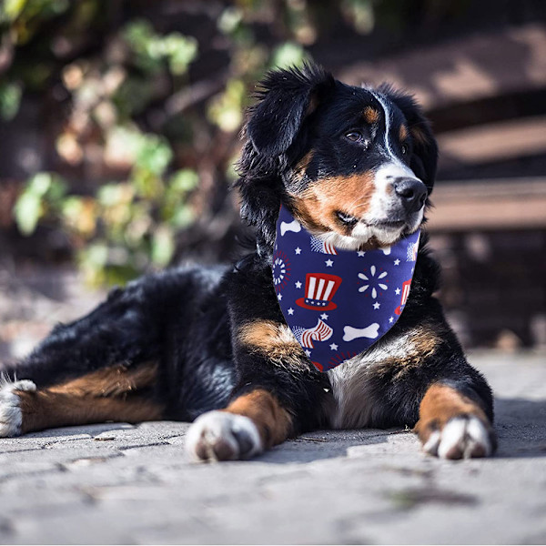 4. juli hundebandanas 2-pakke, uavhengighetsdag hundeparty
