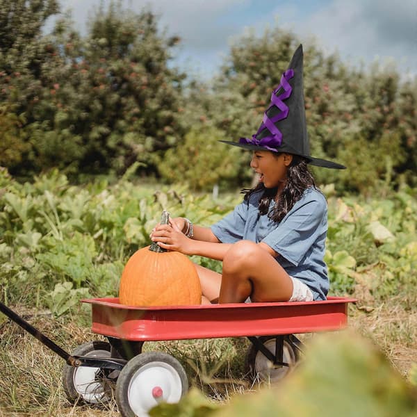 Halloween Häxhatt Dekorativ Hatt för Halloween 3st Tygband Rosett A