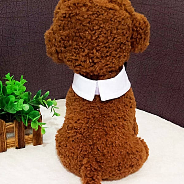 Lemmikkien solmio koiran rusetti koiran raitasolmio lemmikkieläinhuivi tekopääntie