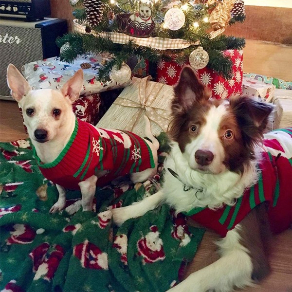 Jul husdjursdräkt Randig snögubbe nyår hundtröja Hund