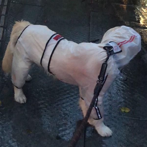 4-jalkainen koiran sadetakki heijastavalla raidalla