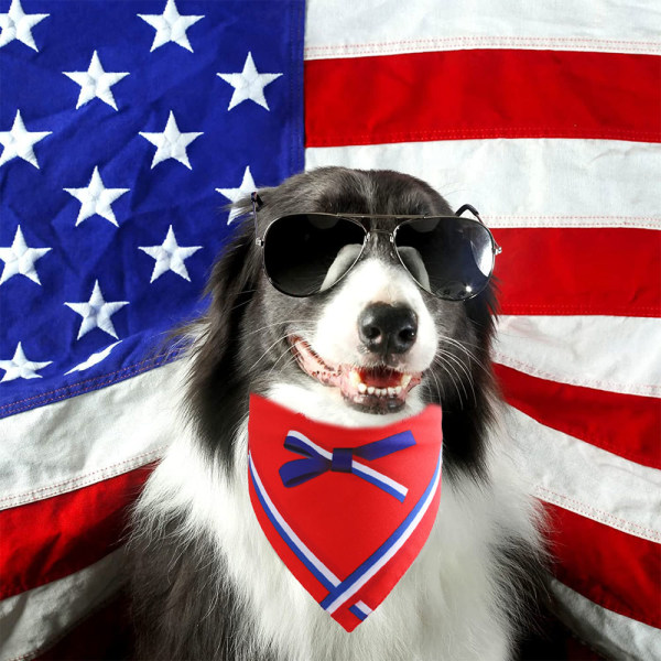4:e juli hundbandanas 2-pack, självständighetsdag hundfest