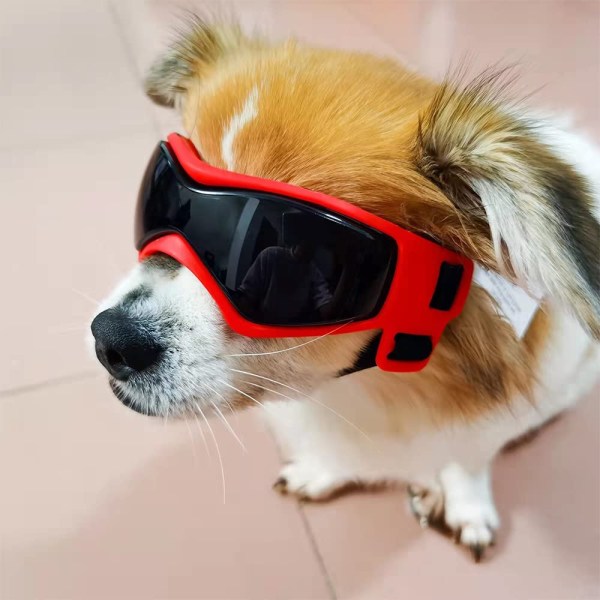 Dog Goggles Easy Wear Small Dog Solbriller Justerbar Anti-UV