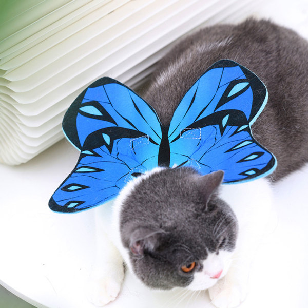 Kæledyrstrykt sommerfugl bliver til en interessant flerfarvet kat