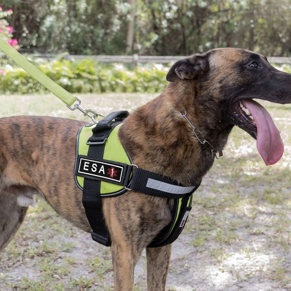 Emosjonell støtte dyr patch hund vest klistremerke støtter små