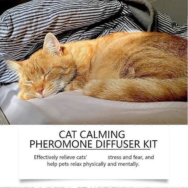 Kattferomoner Beroligende Diffuser 45ml Refill Beroligende Diffuser Langvarig Feromon Plug-in Avslappende Beroligende Hjemmekatt (4 stk)