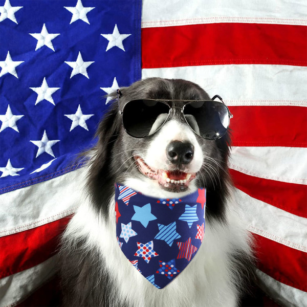 4:e juli hundbandanas 2-pack, självständighetsdag hundfest