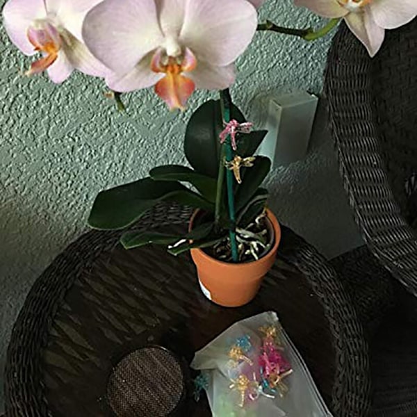 30 st Trollsländeorkidéklämmor Plast Trädgårdsväxtstödklämmor Blomsterväxtklämmor, DUBUNS