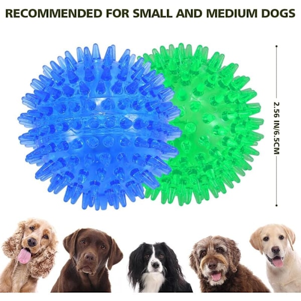 Paket Pipiga Hundbollar, Hundtuggleksak, Flytande Poolleksak, Valp Kasta Leksak, Tuggleksak mot Uttråkning