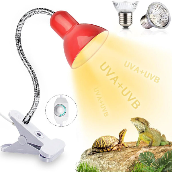 Skildpadde varmelampe, krybdyr landskildpadde lampe, landskildpadde lampe, krybdyr varmelampe, til krybdyr, padder, skildpadder Bread