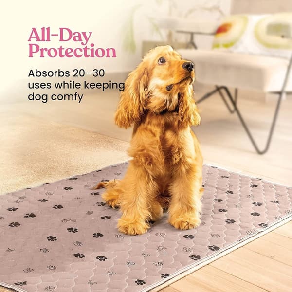 Vaskbar Genanvendelig Træningsmåtte til Kæledyr, Absorberende Skridsikker Polyestermåtte til Hunde og Katte, Pink, 70 x 100 cm