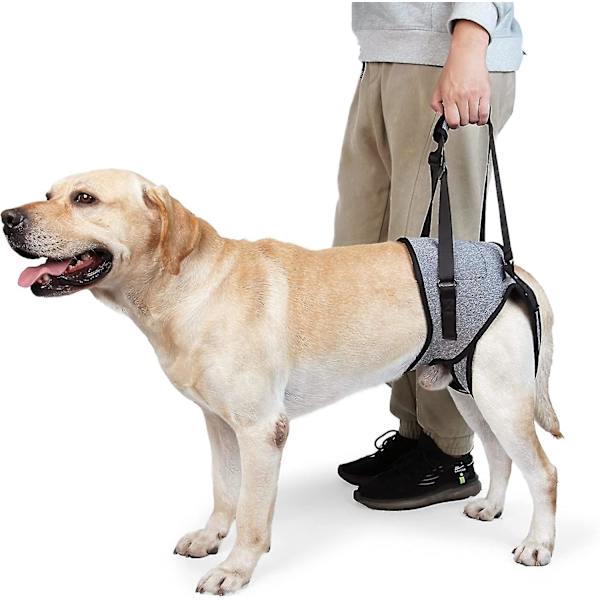 Hundeslynge til store hunde, støtte til bagben for at hjælpe med at rehabilitere bagbenene hos ældre hunde med svage bagben og handicap