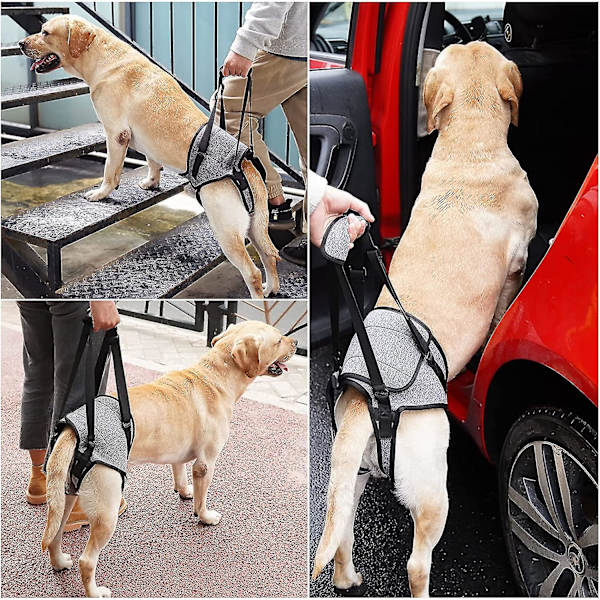 Hundeslynge til store hunde, støtte til bagben for at hjælpe med at rehabilitere bagbenene hos ældre hunde med svage bagben og handicap