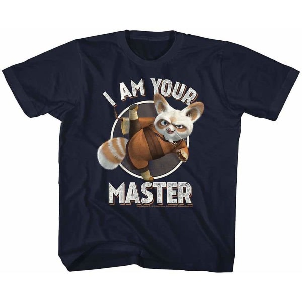 Kung Fu Panda Master Youth T-shirt M