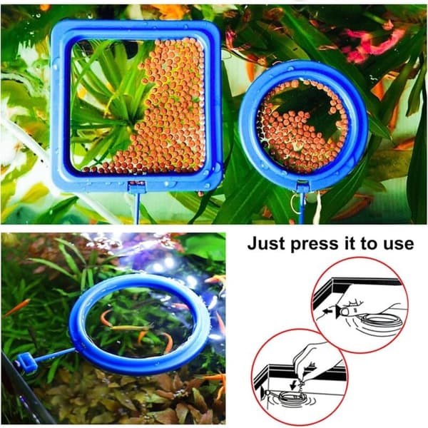 2 stk. Fiskefôrringer Akvarium Mater Matfôrring for Guppy Betta Gullfisk Blå