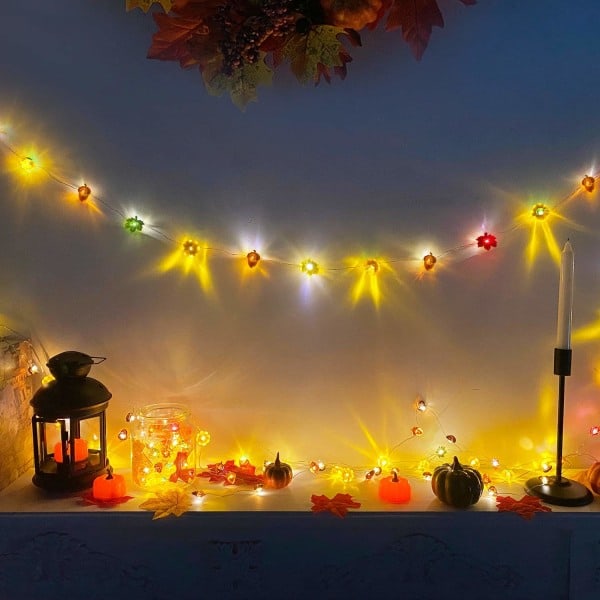 3D Pumpa Lönn Ekorre Höst Ljus, 10ft 30LED Girlang Ljusslinga, Fjärrkontroll