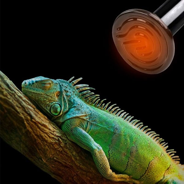 Amfibisk Reptil Varmelampe med Farveæske Almindelig Keramisk Lampe Skildpadde Firben Edderkop Reptil Varmeboks 220V (75W)