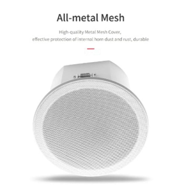 Inbyggd förstärkare Full Range Bluetooth-bakstycke Hemmabio Bakgrundsmusik Takhögtalare(a)