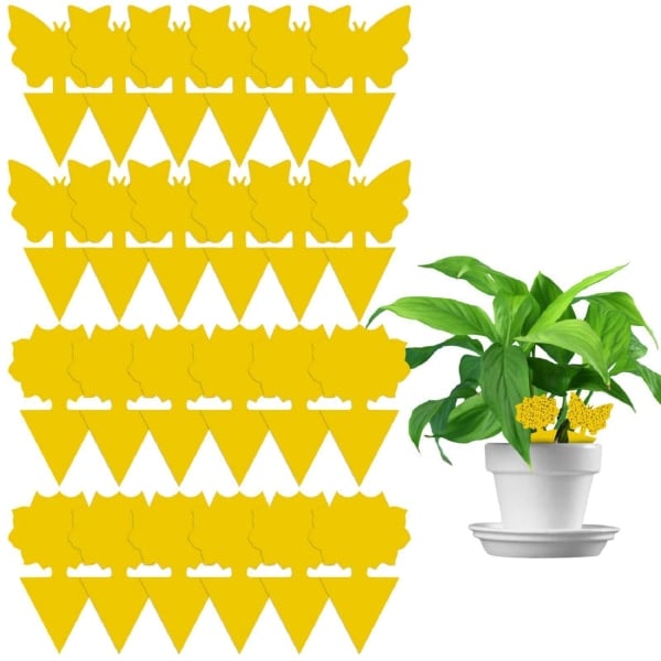 IC 20-pack flugfällor - vackra blommor