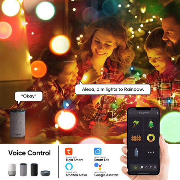 Fjärrkontroll RGB-ljusslinga Smart WiFi Juldekorationsljus med koppartråd utomhusljusslinga 5M Set