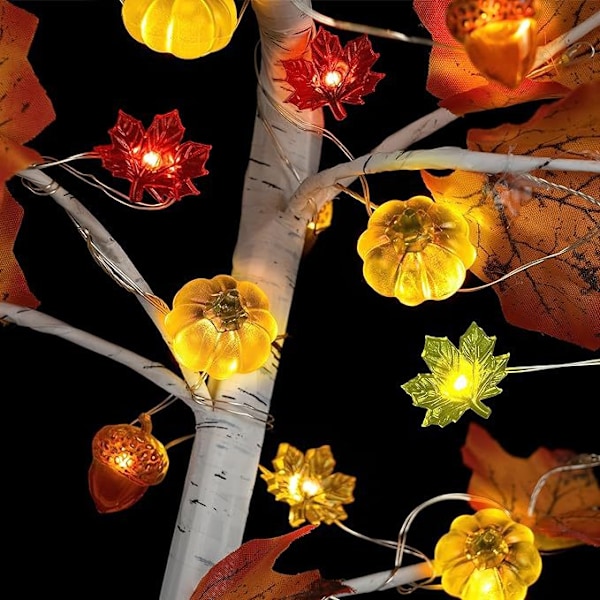 LED-koppartrådsljus för skördefest 3D pumpa ekollon lönnlöv ljusslinga MJ51 Tacksägelsekoppartrådsljus 3D Acorn 5m 50 lights always on USB model