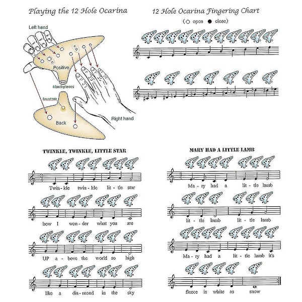 12 Hullers Porcelæn Ocarina Alto C Stjerneformet Instrument Med Lanyard Noder Etui Til Musikelskere Og Lærlinge